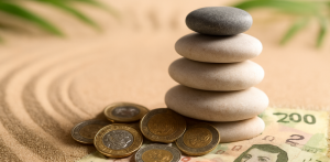 minimalismo financiero